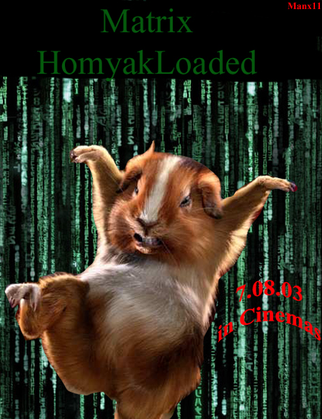 Пародийный коллаж 'Matrix: HomyakLoaded'.